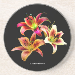 Posavasos Trío Elegante de Hemerocallis Florales Amarillo Ro