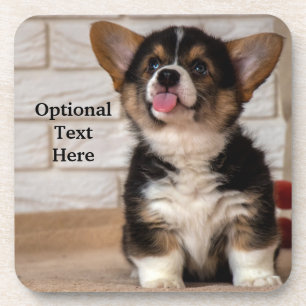 Posavasos Triple color Pembroke Welsh Corgi Puppy Dog