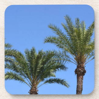 Posavasos Trozos de palmeras contra el cielo azul