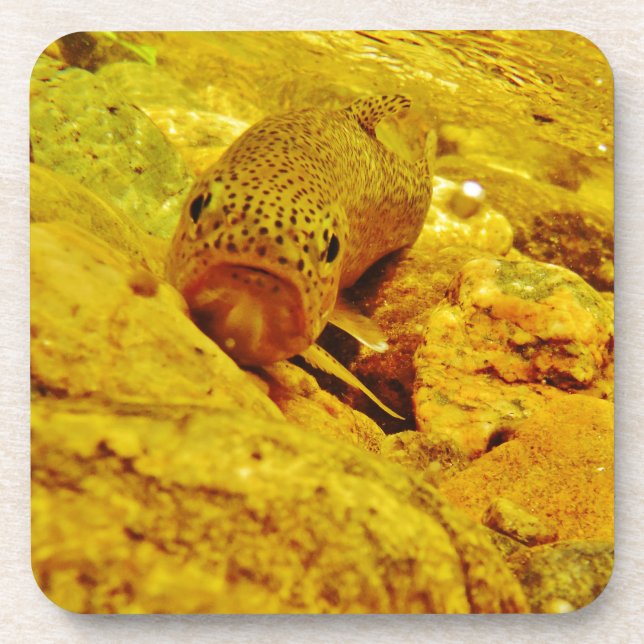 Posavasos Truco en la corriente (Frente)