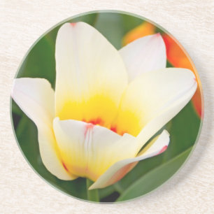 Posavasos Tulipán