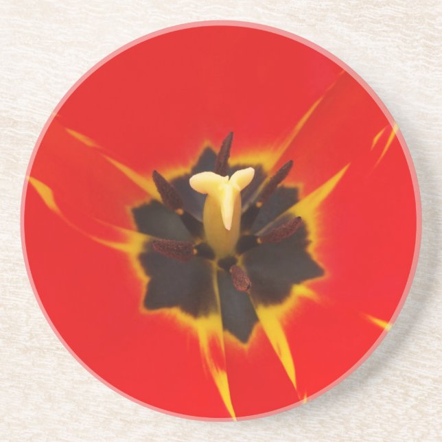 Posavasos tulipán amarillo rojo (Frente)