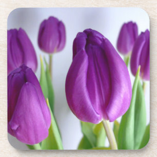 Posavasos Tulipán púrpura