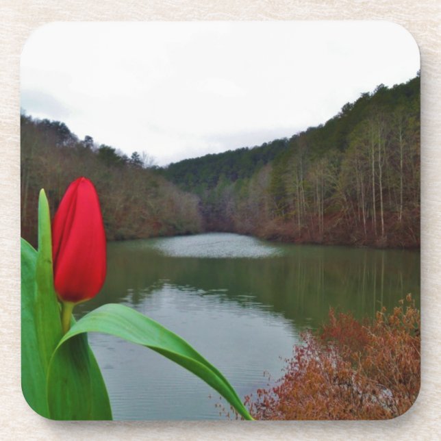 Posavasos Tulipán rojo primaveral en el lago Arrowhead (Frente)