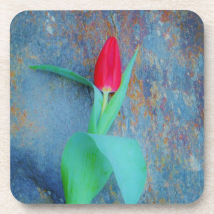 Posavasos Tulipán rojo sobre pizarra gris azul