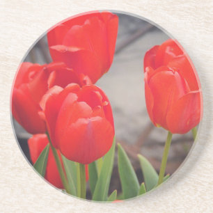 Posavasos Tulipanes de la primavera pasada. Soñando con la