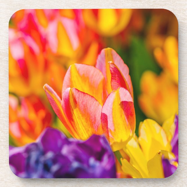 Posavasos Tulipanes Encantadores (Frente)