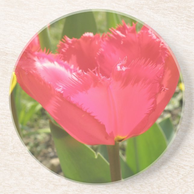 Posavasos Tulipanes Fringos (Frente)