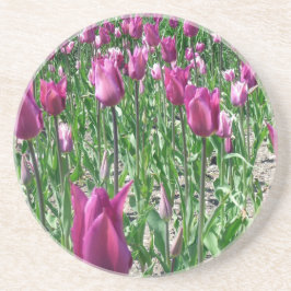 Posavasos Tulipanes púrpura Regal