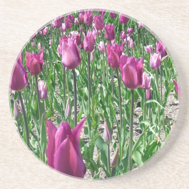 Posavasos Tulipanes púrpura Regal (Frente)