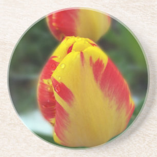Posavasos tulipanes rojos amarillos
