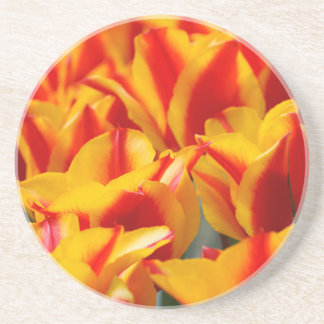 Posavasos Tulipanes rojos y amarillos