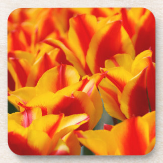 Posavasos Tulipanes rojos y amarillos