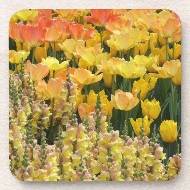 Posavasos Tulipanes y prácticos de costa de Snapdragons (Frente)