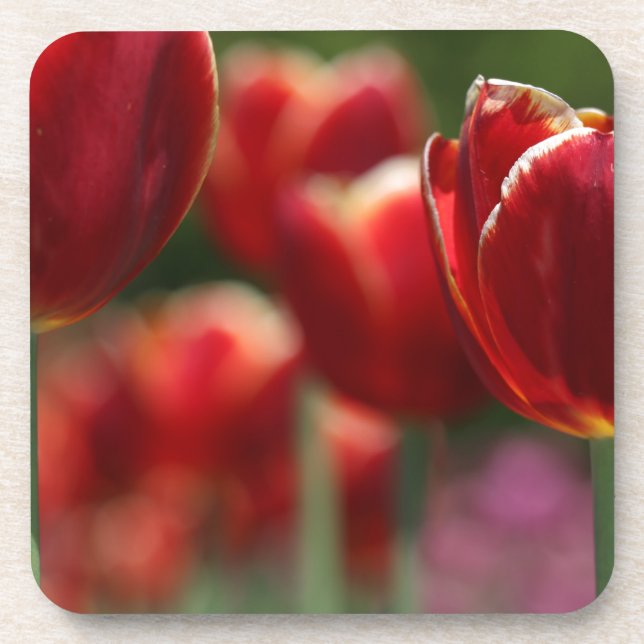 Posavasos Tulipanos (Frente)