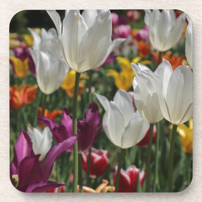 Posavasos Tulipanos (Frente)