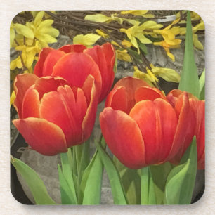 Posavasos Tulips alegres