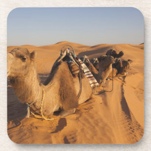 Posavasos Túnez, zona de Ksour, Ksar Ghilane, Gran Erg 5