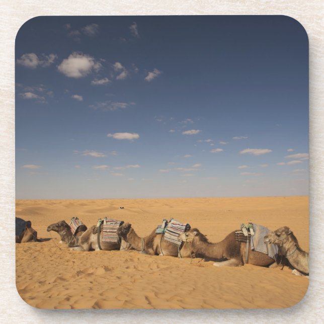 Posavasos Túnez, zona Ksour, Ksar Ghilane, Gran Erg 4 (Frente)