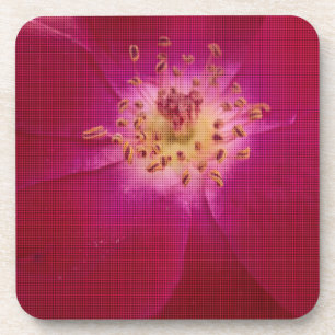 Posavasos Último Rosa de San Valentín controlado