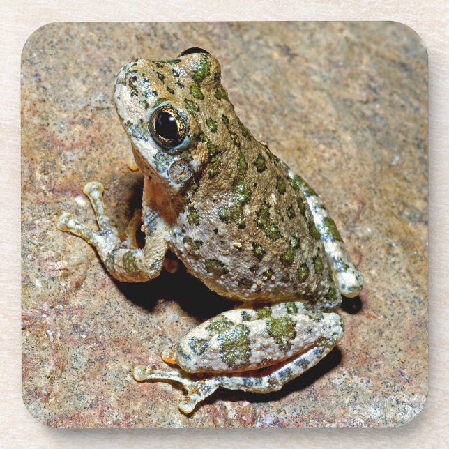 Posavasos Un barranco Treefrog (Frente)