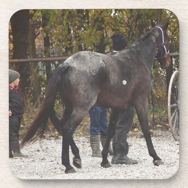 Posavasos Un caballo nuevo (Frente)