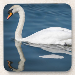 Posavasos Un cisne y sus prácticos de costa plásticos duros