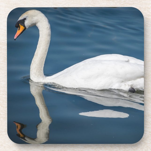 Posavasos Un cisne y sus prácticos de costa plásticos duros (Frente)