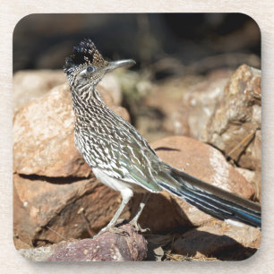 Posavasos Un corredor de carreteras se detiene momentáneamen