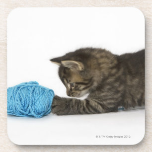 Posavasos Un gatito joven del Tabby que juega con lanas