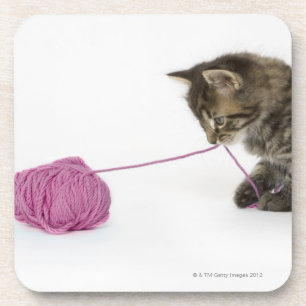 Posavasos Un gatito joven del tabby que juega con una bola