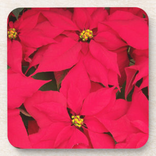 Posavasos Un grupo de Navidades de colores brillantes Poinse