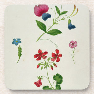Posavasos Un ilustracion 'de un nuevo tratado en la flor Pai