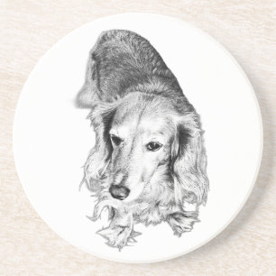 Posavasos Un lugar para detenerse – Dachshund de pelo largo