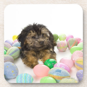 Posavasos Un perrito de Yorkie-poo y huevos de Pascua