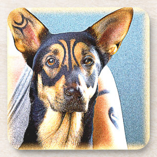 Posavasos "Un Perro Cuto" Foto Cute. ¡Hazte con una en Zazzl