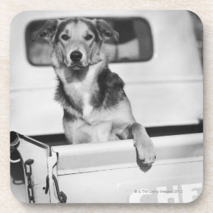 Posavasos Un perro en un coche