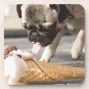 Posavasos Un perro que come un helado de un pavimento