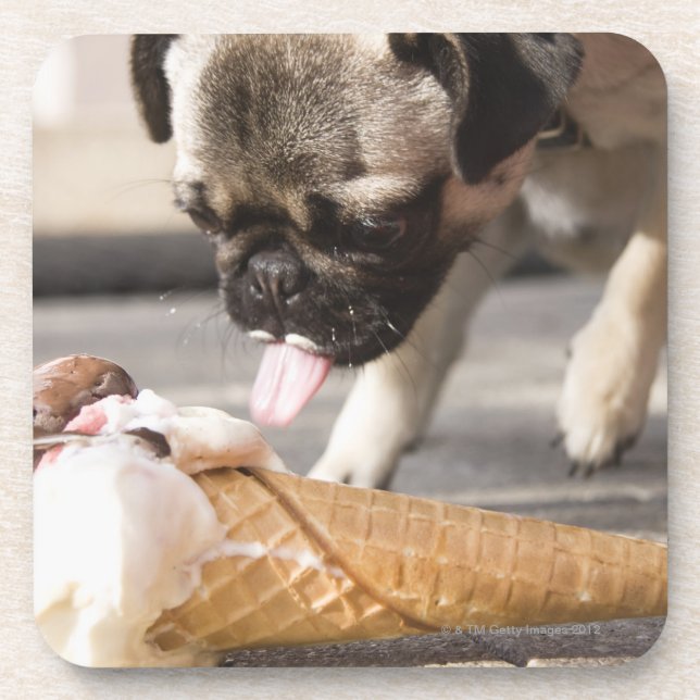 Posavasos Un perro que come un helado de un pavimento (Frente)