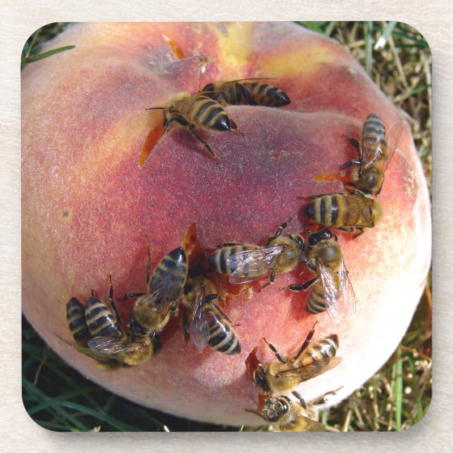Posavasos Una Docena De Abejas Y Una Peach (Frente)