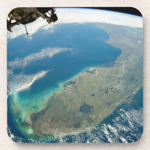 Posavasos Una Florida Oblíque, En La Costa Sureste