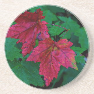 Posavasos Una indirecta del otoño