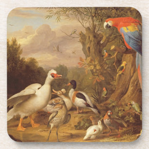 Posavasos Una macana, patos, loros y otras aves en tierra