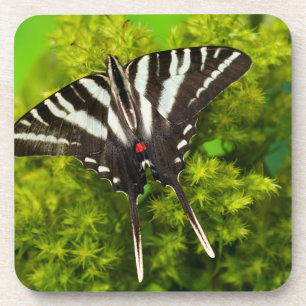 Posavasos Una mariposa cola de golondrina norteamericana