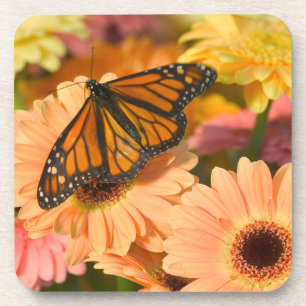 Posavasos Una Mariposa Manto de Luto