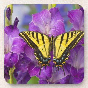 Posavasos Una Mariposa Monarca en Gladiolos Purpuras