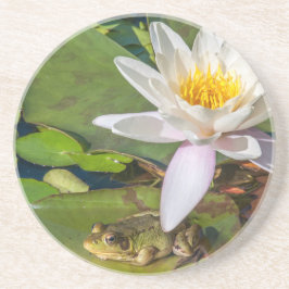 Posavasos Una rana bajo una flor de nenúfar