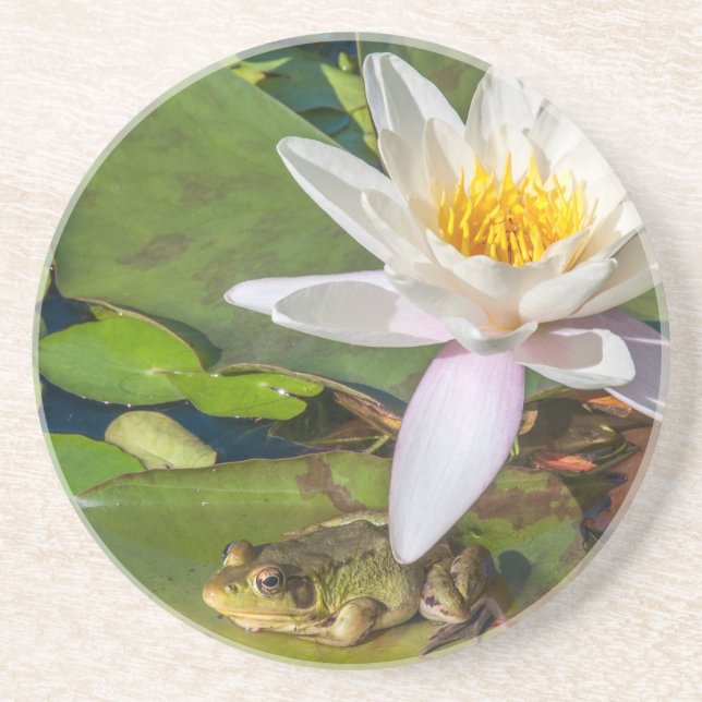 Posavasos Una rana bajo una flor de nenúfar (Frente)