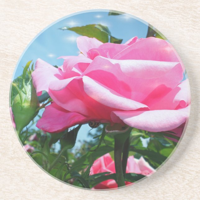 Posavasos Una rosa rosa grandiosa en el cielo azul. Fotograf (Frente)