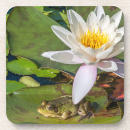 Posavasos Une grenouille sous une fleur de nénuphar